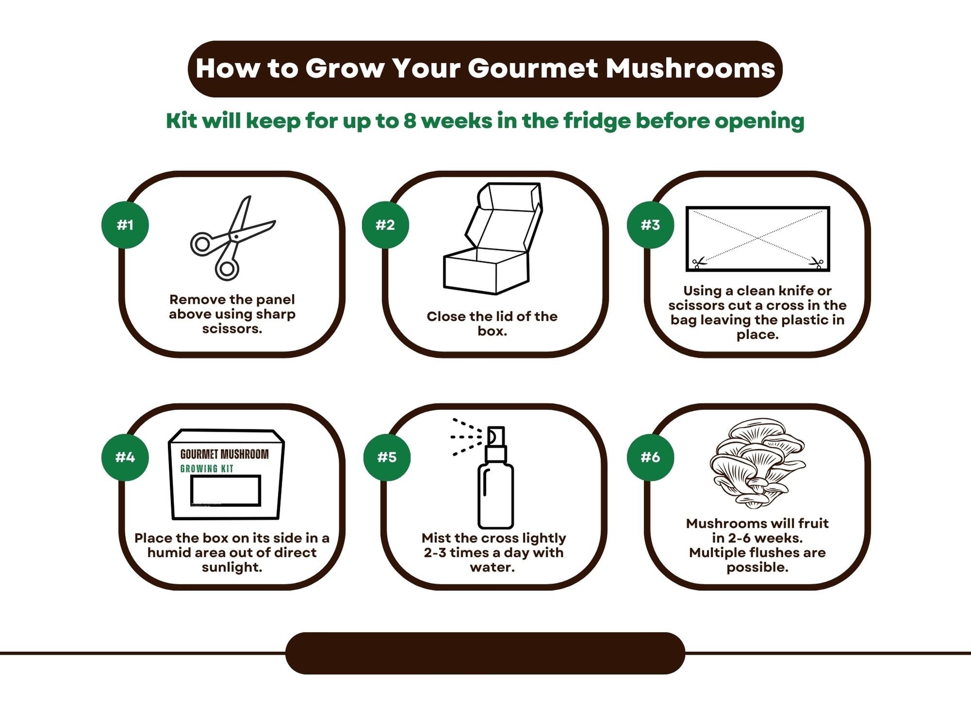 Instructions on hoe to grow your gourmet mushrooms